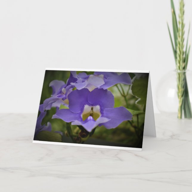Purple & Green, card (Front)