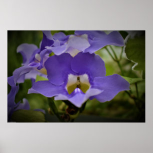 Purple & Green,  Poster