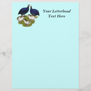 Purple Guinea Family