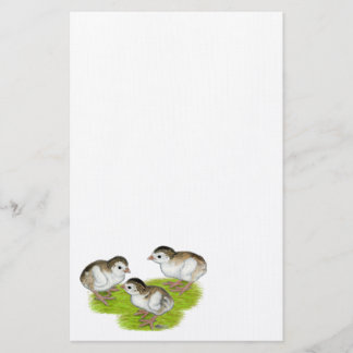 Purple Guinea Keets Stationery