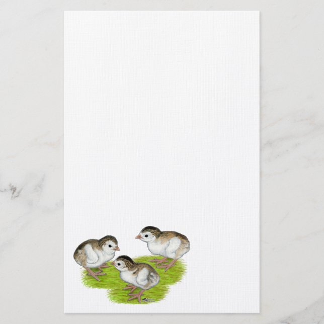 Purple Guinea Keets Stationery (Front)