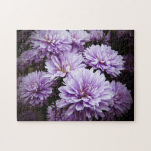 Purple Haze Chrysanthemums Jigsaw Puzzle