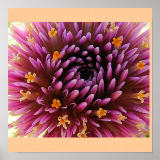 purple haze poster (Front)