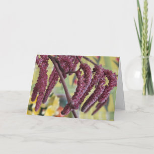 Purple Hazelnut in Spring Holiday Card