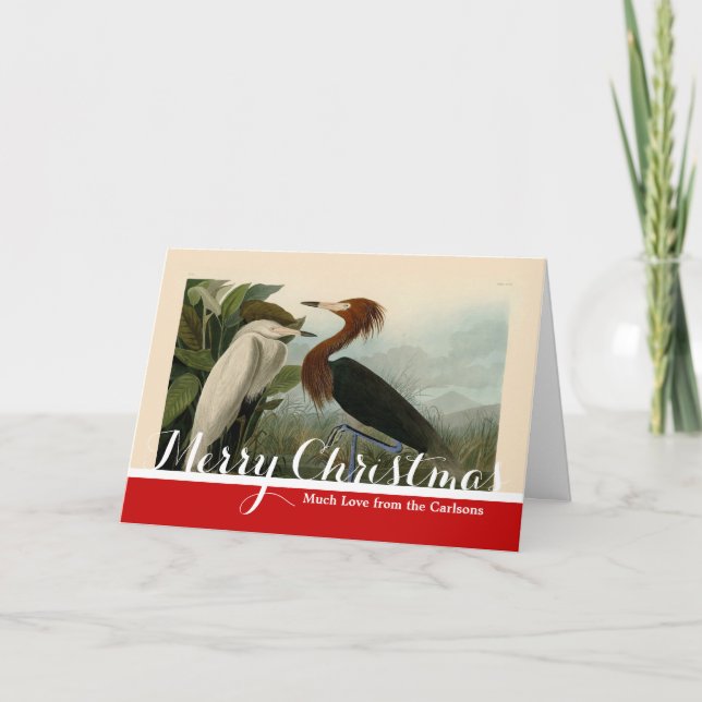 Purple Heron Audubon Bird Wildlife Painting Holiday Card (Front)