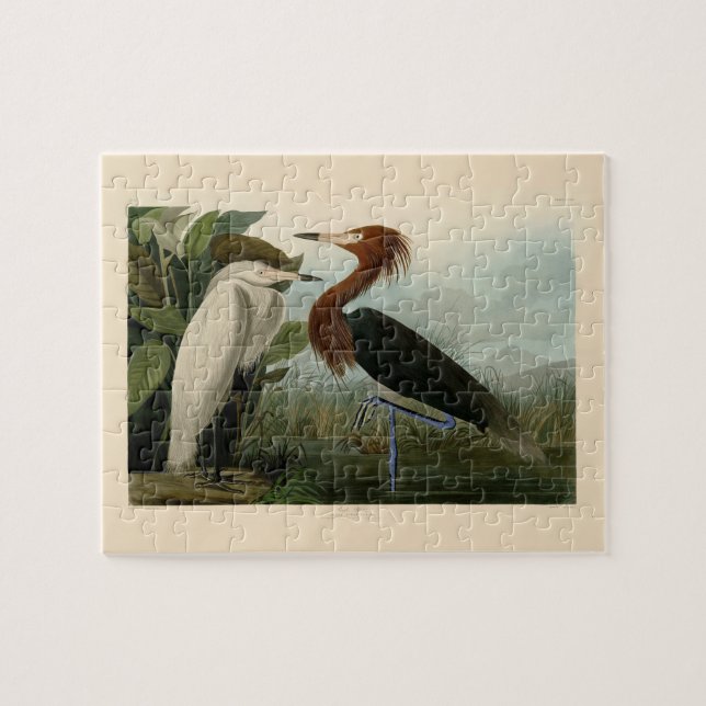 Purple Heron Audubon Bird Wildlife Painting Jigsaw Puzzle (Horizontal)