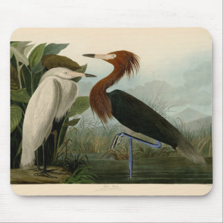 Purple Heron Audubon Bird Wildlife Painting Mouse Pad