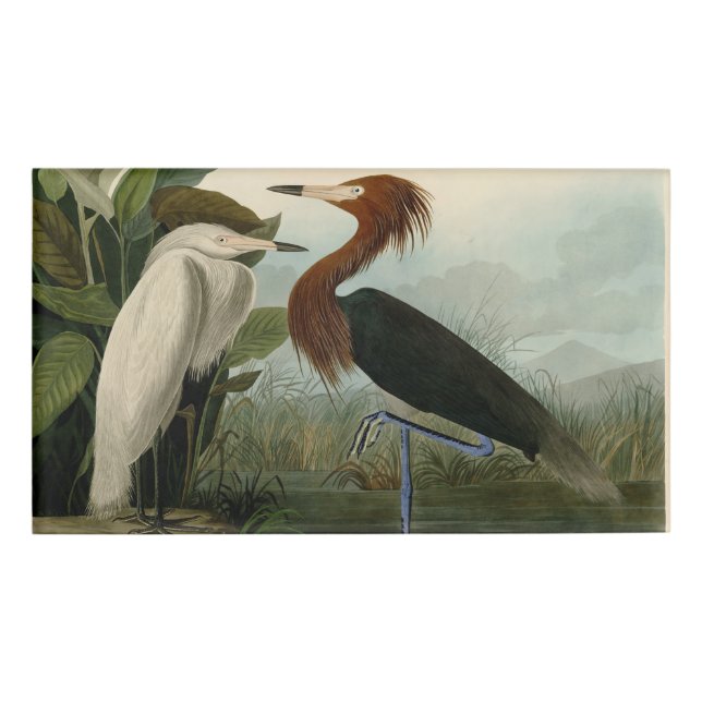 Purple Heron Audubon Bird Wildlife Painting Name Tag (Front)