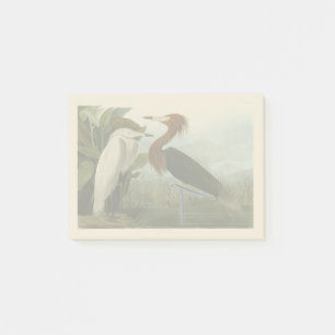Purple Heron Audubon Bird Wildlife Painting Post-it Notes