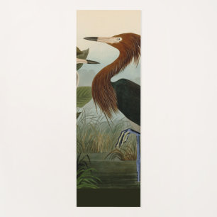 Purple Heron Audubon Bird Wildlife Painting Yoga Mat