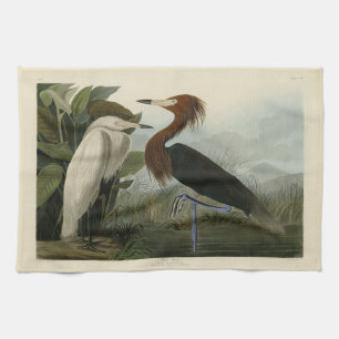 Purple Heron - from Audubon's Birds of America Tea Towel