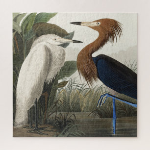 Purple Heron from Birds of America Jigsaw Puzzle