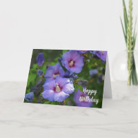 Purple Hibiscus Celebration Birthday