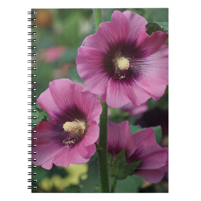 Purple hibiscus flowers notebook (Front)