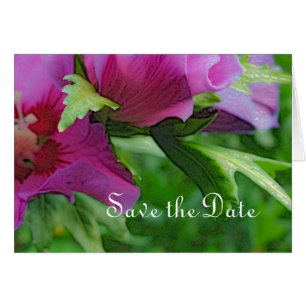 Purple hisbiscus flowers