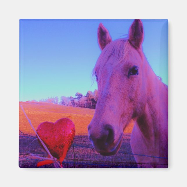 Purple horse Valentine Red Heart Magnet (Front)