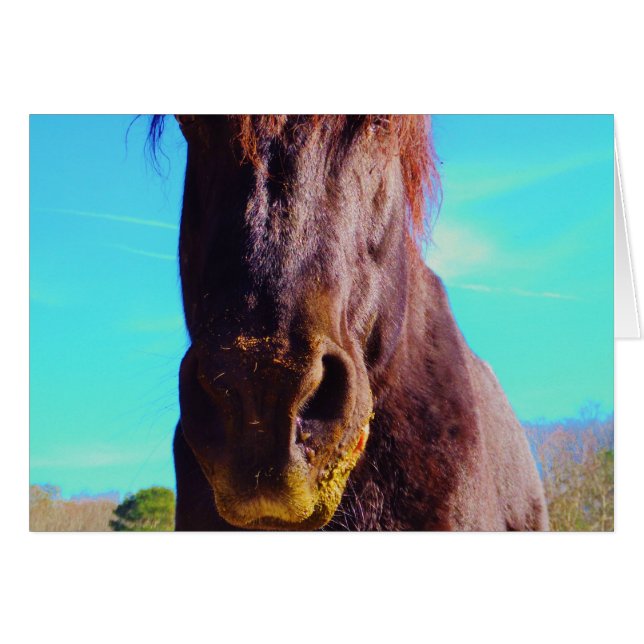 Purple Horse w/ Green Mouth (Front Horizontal)