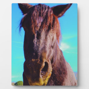 Purple Horse w/ Green Mouth Plaque