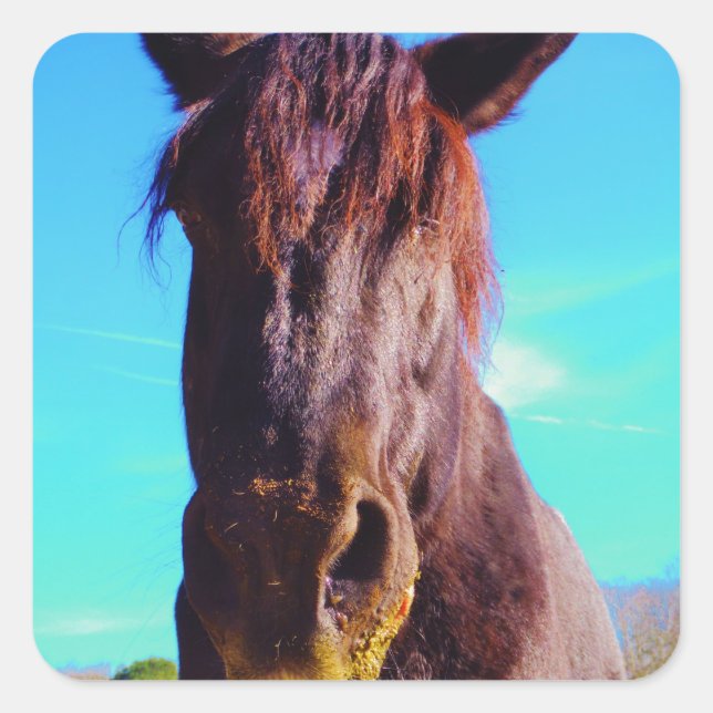 Purple Horse w/ Green Mouth Square Sticker (Front)