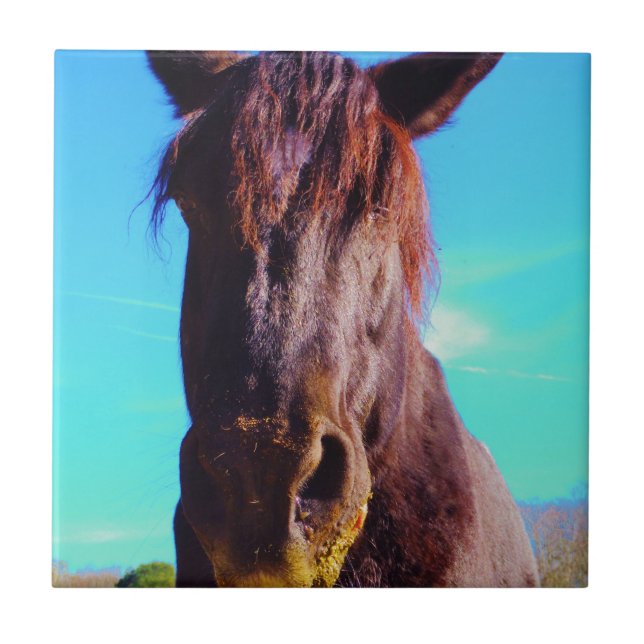 Purple Horse w/ Green Mouth Tile (Front)