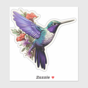 Purple Hummingbird