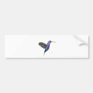 Purple hummingbird watercolour bumper sticker