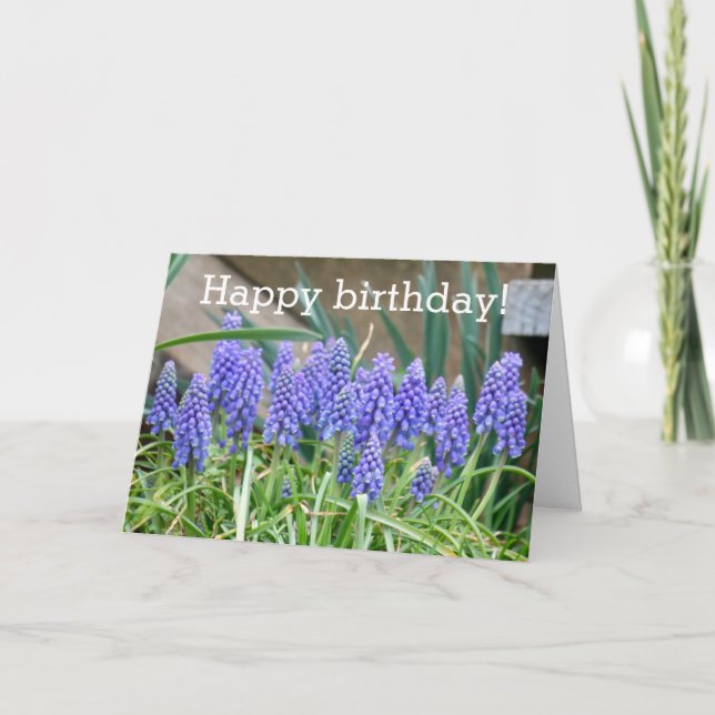 Purple Hyacinth Birthday Blessings Card  (Front)