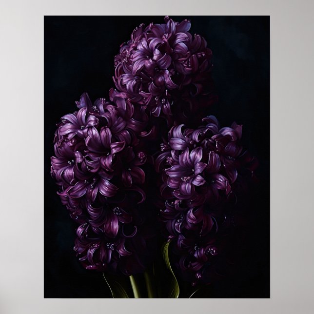 Purple Hyacinth Flowers Art Print Poster (Front)