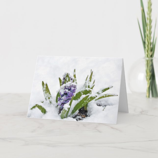 Purple Hyacinth in Snow Encouragement Card (Front)