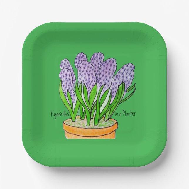 Purple Hyacinths a in Planter Paper Plate (Front)