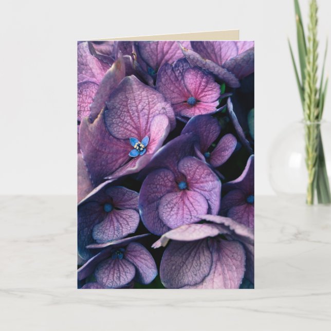 Purple Hydrangea Blank Greeting Card (Front)