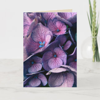 Purple Hydrangea Blank Greeting Card