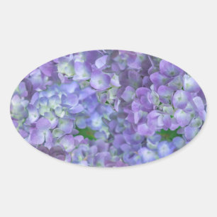 Purple hydrangea flowers oval sticker