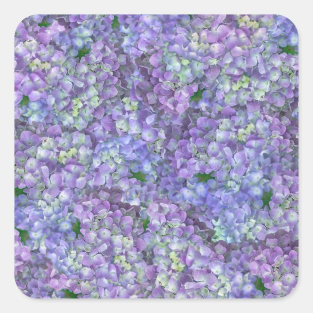 Purple hydrangea flowers square sticker (Front)
