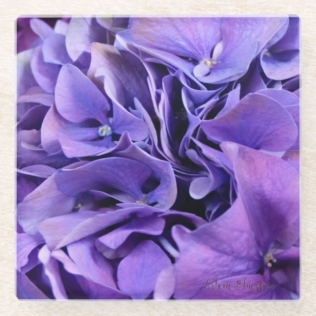 Purple Hydrangea Glass Coaster lk (Front)