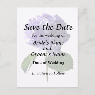 Purple Hydrangea With Leaves Announcement Postcard