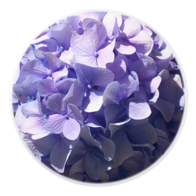 Purple Hydrangeas Ceramic Knob (Front)
