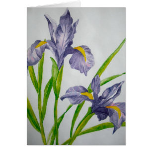 purple iris