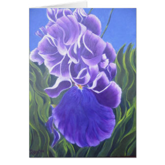 Purple Iris