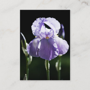 Purple Iris 8393 Mini Print Business Card