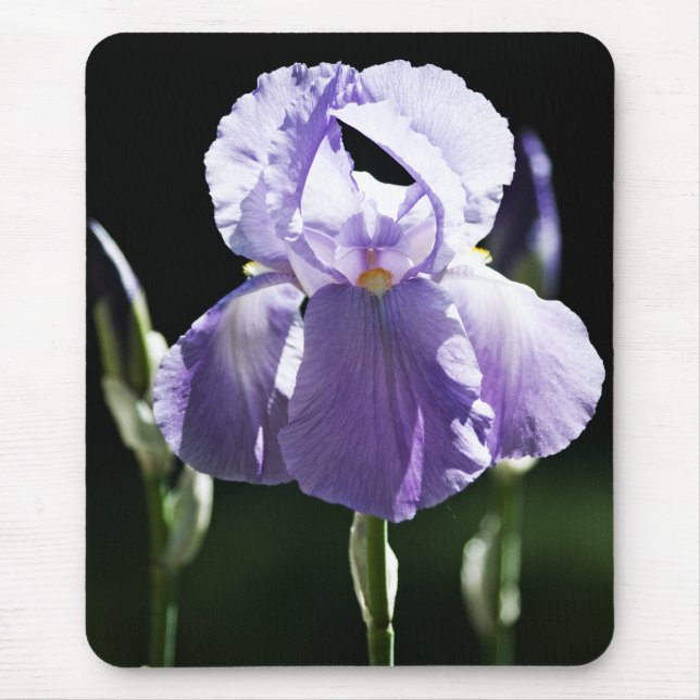Purple Iris 8393 Mousepad (Front)