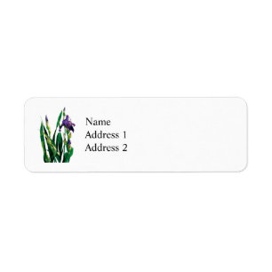 Purple Iris and Buds
