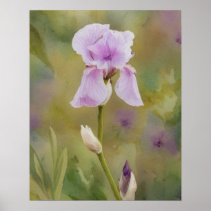 Purple Iris Art Flower Floral Poster