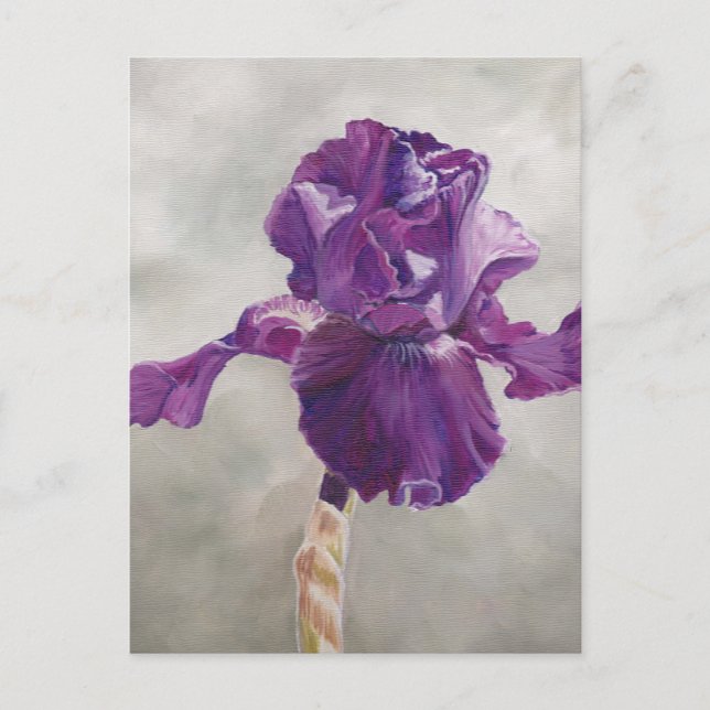 Purple Iris Art Postcard (Front)