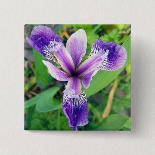 Purple Iris Button