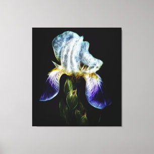 Purple Iris Canvas Print