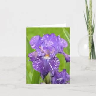 Purple Iris Card