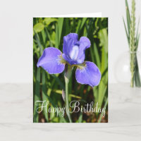 Purple iris flower birthday greeting card