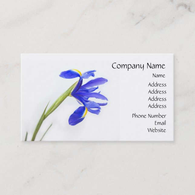 Purple Iris Flower Business Card (Front)