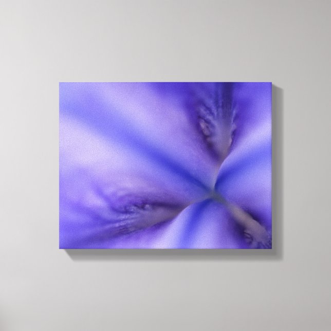Purple Iris Flower Close Up Canvas Print (Front)